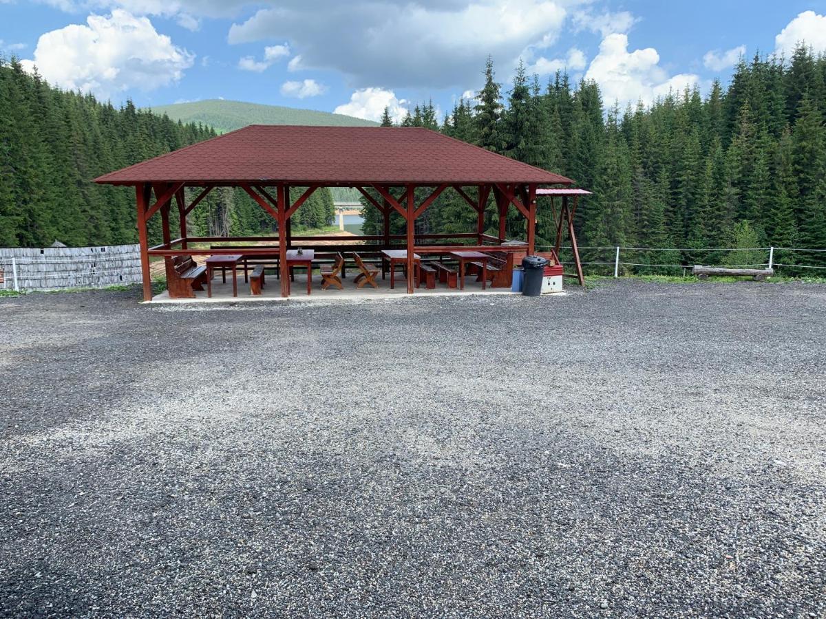 Cabana Cerbul-Oasa-Transalpina Ciban エクステリア 写真