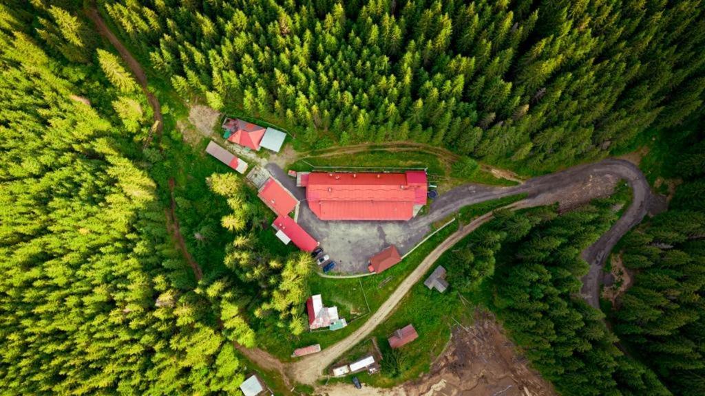 Cabana Cerbul-Oasa-Transalpina Ciban エクステリア 写真