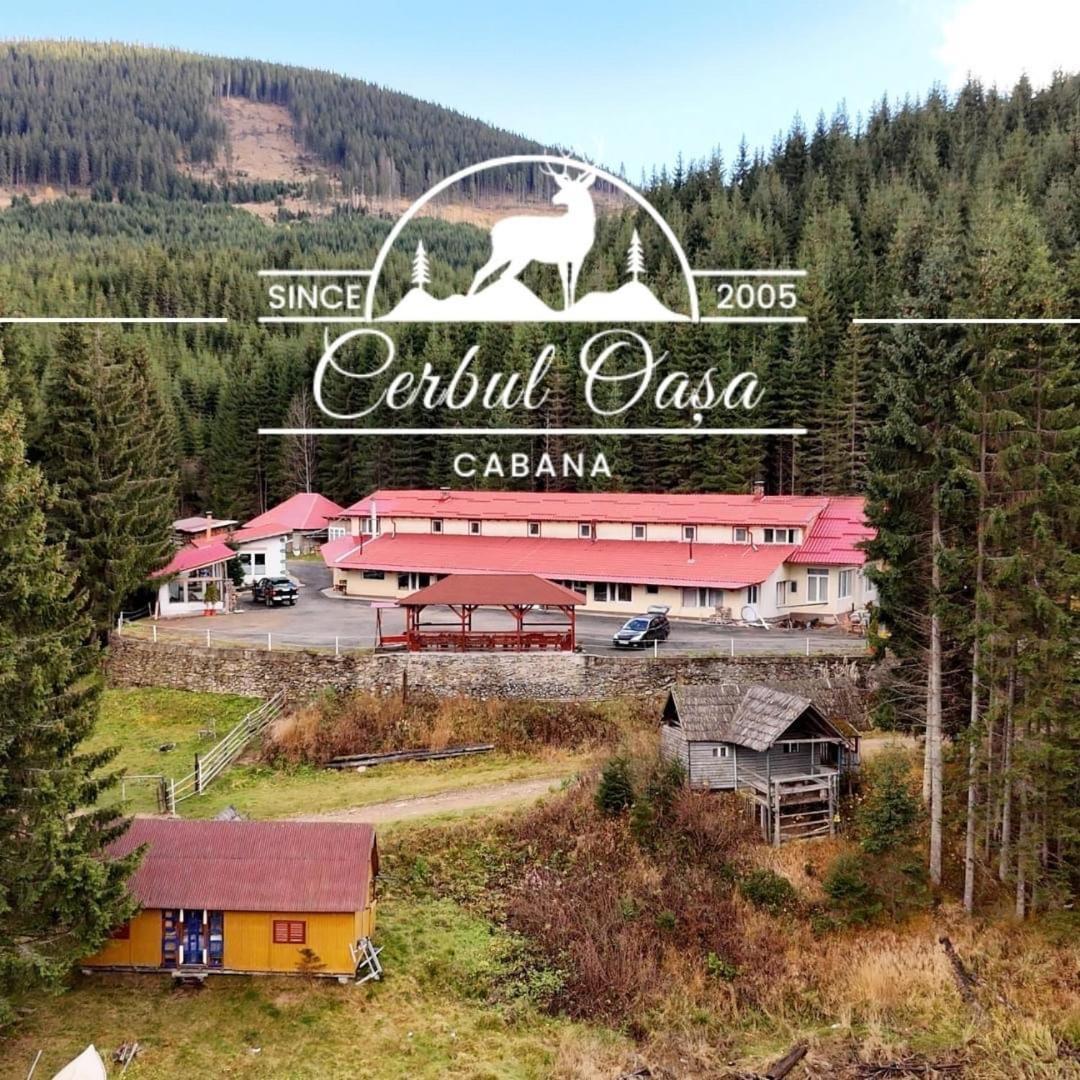Cabana Cerbul-Oasa-Transalpina Ciban エクステリア 写真