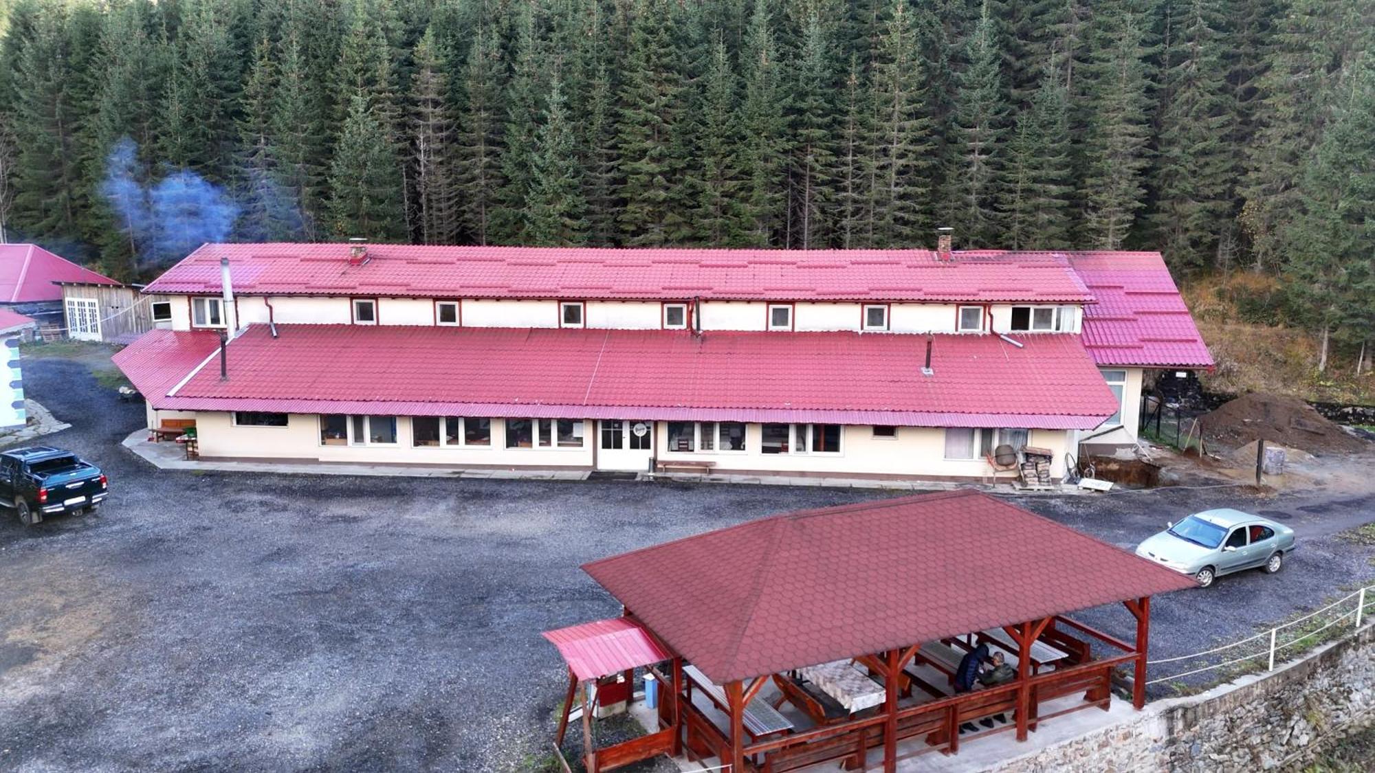 Cabana Cerbul-Oasa-Transalpina Ciban エクステリア 写真
