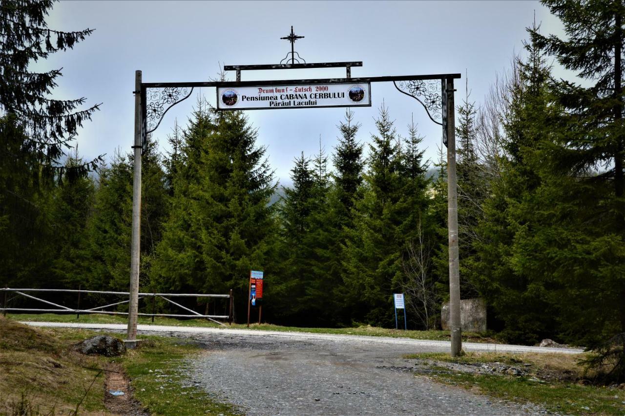 Cabana Cerbul-Oasa-Transalpina Ciban エクステリア 写真