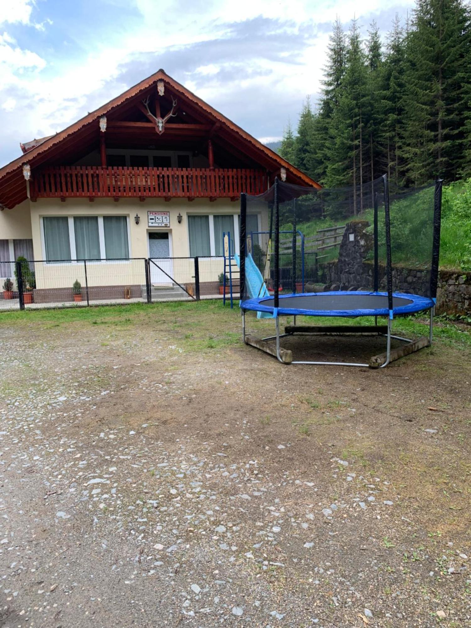 Cabana Cerbul-Oasa-Transalpina Ciban エクステリア 写真