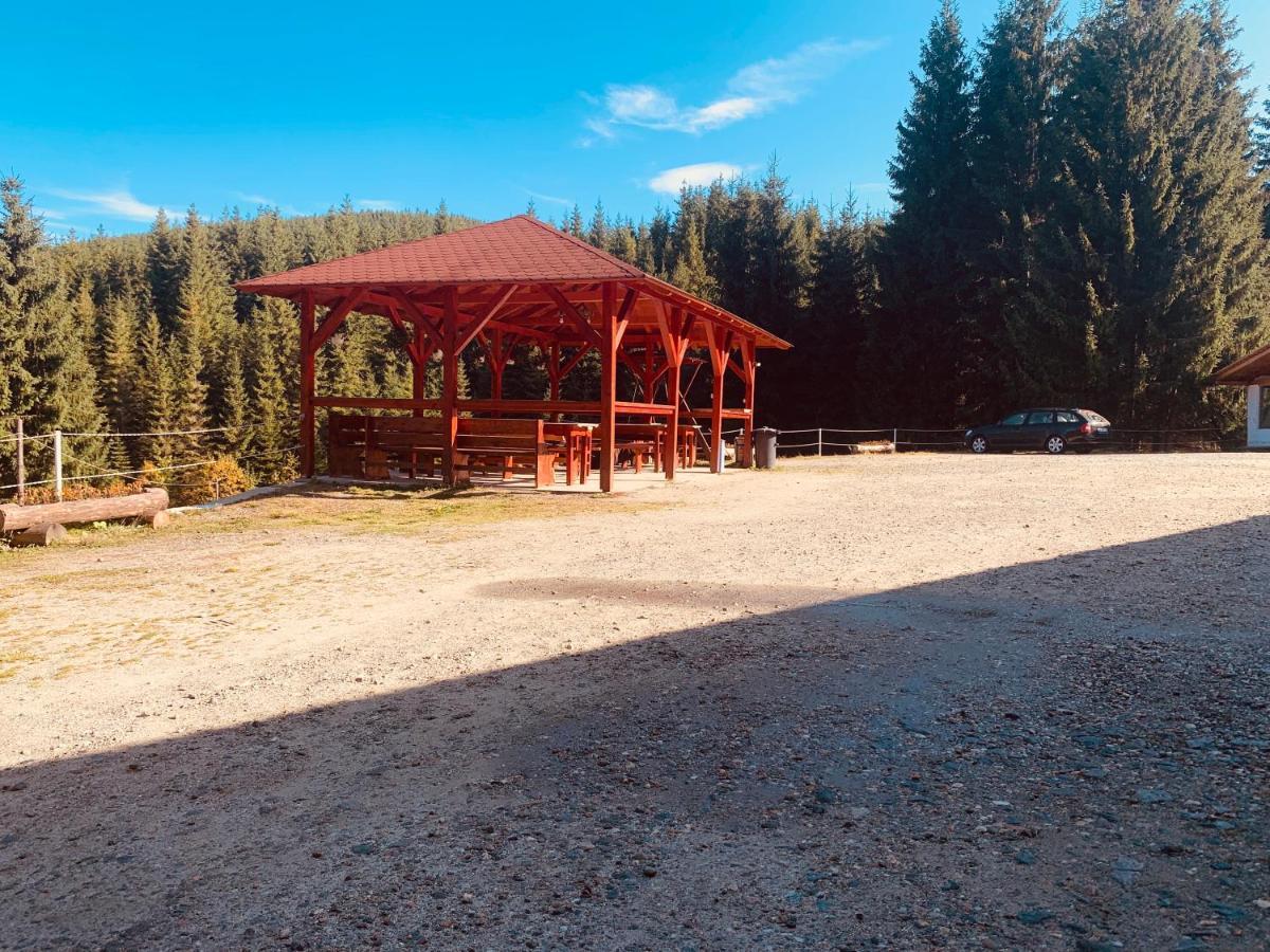 Cabana Cerbul-Oasa-Transalpina Ciban エクステリア 写真