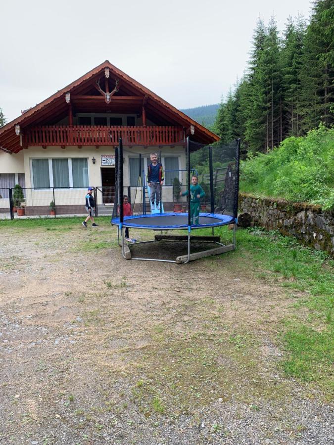Cabana Cerbul-Oasa-Transalpina Ciban エクステリア 写真
