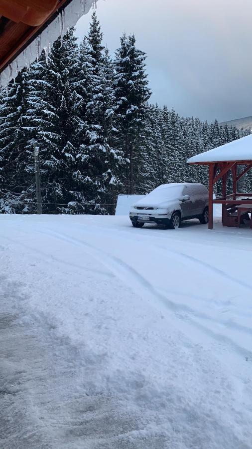 Cabana Cerbul-Oasa-Transalpina Ciban エクステリア 写真