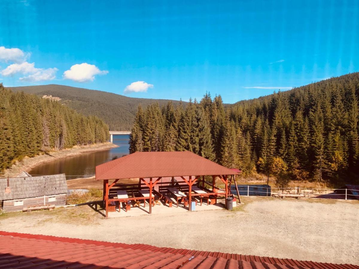 Cabana Cerbul-Oasa-Transalpina Ciban エクステリア 写真