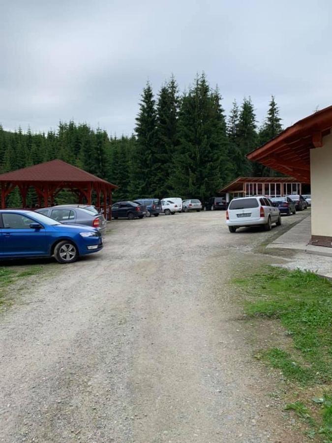 Cabana Cerbul-Oasa-Transalpina Ciban エクステリア 写真