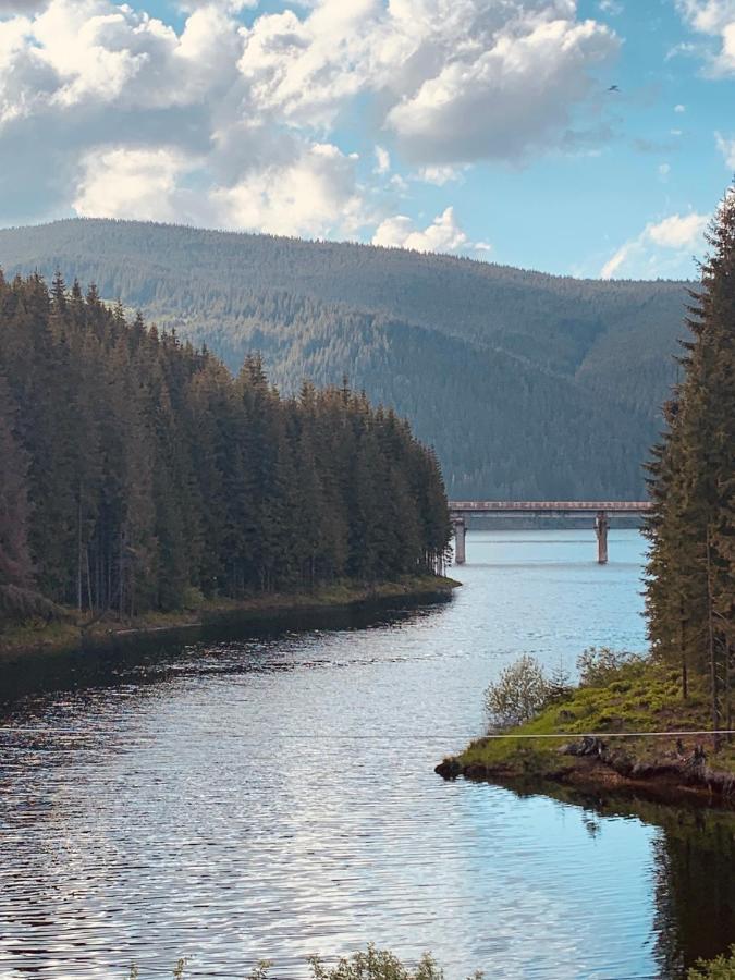 Cabana Cerbul-Oasa-Transalpina Ciban エクステリア 写真
